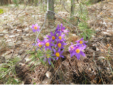 DSCN2038.JPG