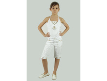 ���. 1137 DLG.jpg