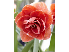 255���. ��������� �����(�������� ���� �� 1 ��., ����������� ����� 1��.).jpg