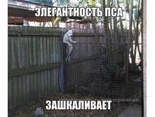 IMG 20150318 222057 0.jpg