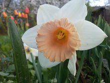 20150516 185536.jpg