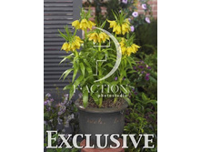 139,3���. ����������� ������� ��������(�������� ���� �� 3 ��., ����������� ����� 1��.)���15.jpg