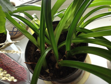 ����������