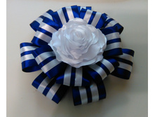 IMG 20150528 152601.JPG