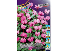 64,05���. �������� �������, ������(�������� ���� �� 2 ��., ����������� ����� 1��.).jpg