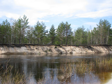 ����� ��� 3