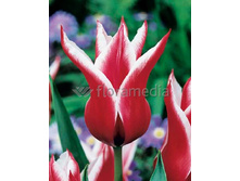 12,23���. ������� �����(��� 10 ��. ���������� ������ 5��.).jpg