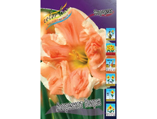 37,04���. ������� ������� ����(�������� ���� �� 7 ��., ����������� ����� 1��.).jpg