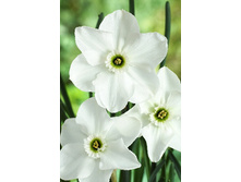 127,5���. ������� ������(�������� ���� �� 2 ��., ����������� ����� 1��.)���15.jpg