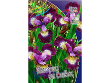 68,87���. ���� ��������� �������� �� ������(�������� ���� �� 3 ��., ����������� ����� 1��.).jpg