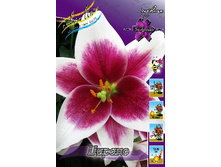 20,83���. �����  ������( ���������� �� ����� �������� �� 7��.).jpg