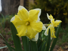 DSC02706.JPG
