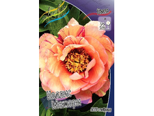 1054,5���. ���� ������ ������ (���)(�������� ���� �� 1 ��., ����������� ����� 1��.).jpg