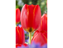 14,11���. ������� ������ ����(��� 10 ��. ���������� ������ 5��.)���15.jpg