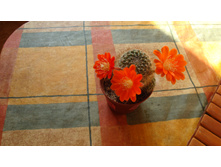 �������