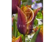 11,51���. ������� �������(��� 10 ��. ���������� ������ 5��.)���14.jpg