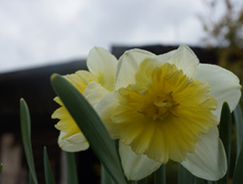 DSC02707.JPG