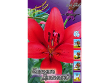 16,78���. �����  ������ �������(��� 10 ��. ���������� ������ 5��.).jpg