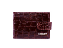 DM-WZ02-KR97 ��������� � ��������� � ��������� Croco �����