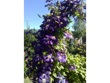 �������� ���������.jpg