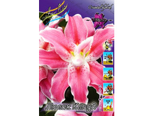 70,52���. �����  ����� �����(�������� ���� �� 5 ��., ����������� ����� 1��.)���14.jpg