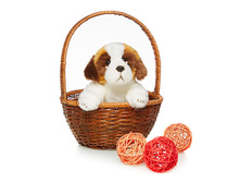 ��������� - 549,04 ������