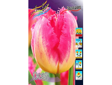 18,72���. ������� ����(��� 10 ��. ���������� ������ 5��.)���14.jpg