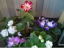 WP 20150516 18 32 54 Pro.jpg