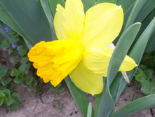 20150516 144039.jpg