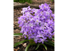 7,04���. ���������� ������ �����(���������� ������ ������ ���������� �� 10 ��.)���15.jpg