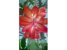 WP 20150503 16 52 05 Pro.jpg