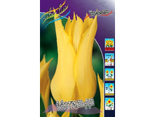 12,23���. ������� ��������(��� 10 ��. ���������� ������ 5��.).jpg