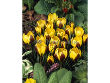 20,16���. ������ ������� (����.)(��� 10 ��. ���������� ������ 5��.)���14.jpg