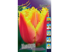 12,23���. ������� ������(��� 10 ��. ���������� ������ 5��.).jpg