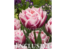 20,16���. ������� ������� ����(��� 10 ��. ���������� ������ 5��.)���14.jpg