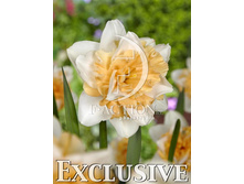 25,21���. ������� ��������� ����(��� 10 ��. ���������� ������ 5��.)���15.jpg