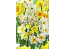 18���. ������� �������� �������� ����� 45 ����(��� 10 ��. ���������� ������ 5��.)���15.jpg