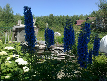 ������ ����. �����.jpg