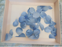 ����������� �������� ���, �������, ��� ����� 30�.