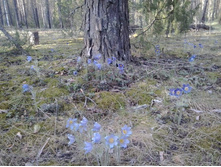 2012-01-01 04.57.37.jpg