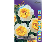 18���. ������� ������� ������(��� 10 ��. ���������� ������ 5��.).jpg