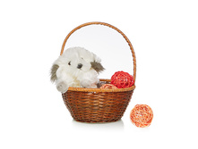 ������� ������� - 549,04 ������