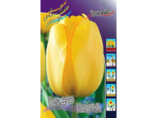 10,79���. ������� ������ �����(��� 10 ��. ���������� ������ 5��.).jpg