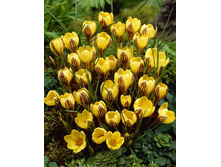 9,64���. ������ ������ ��� (����.)(���������� ������ ������ ���������� �� 10 ��.).jpg