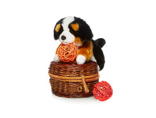 ��������� - 549,04 ������