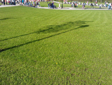 IMAG3635.jpg