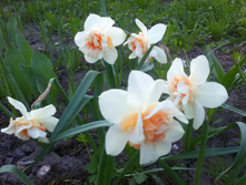 �������� �� ���������