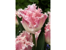 23,05���. ������� �������(��� 10 ��. ���������� ������ 5��.)���14.jpg