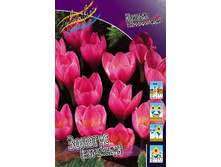 11,51���. ������ ������� (����������.)(��� 10 ��. ���������� ������ 5��.).jpg