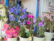 DSC00300.JPG